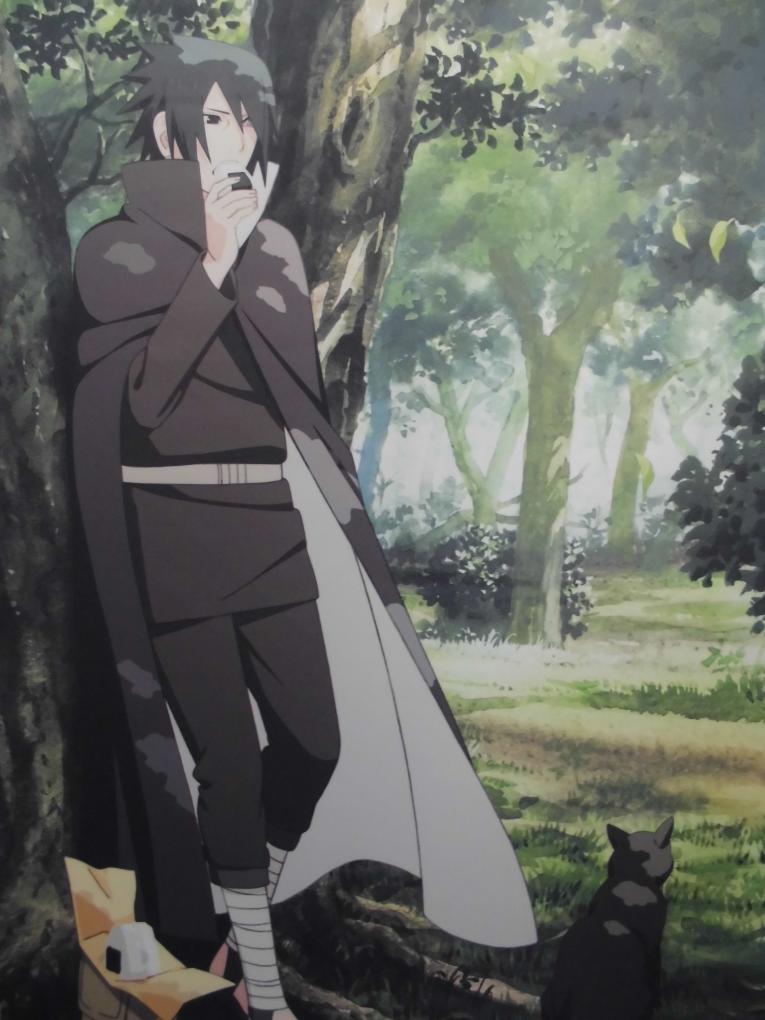 NARUTO サスケ タペストリー J-World 限定 ナルト サスケ真伝 NARUTO