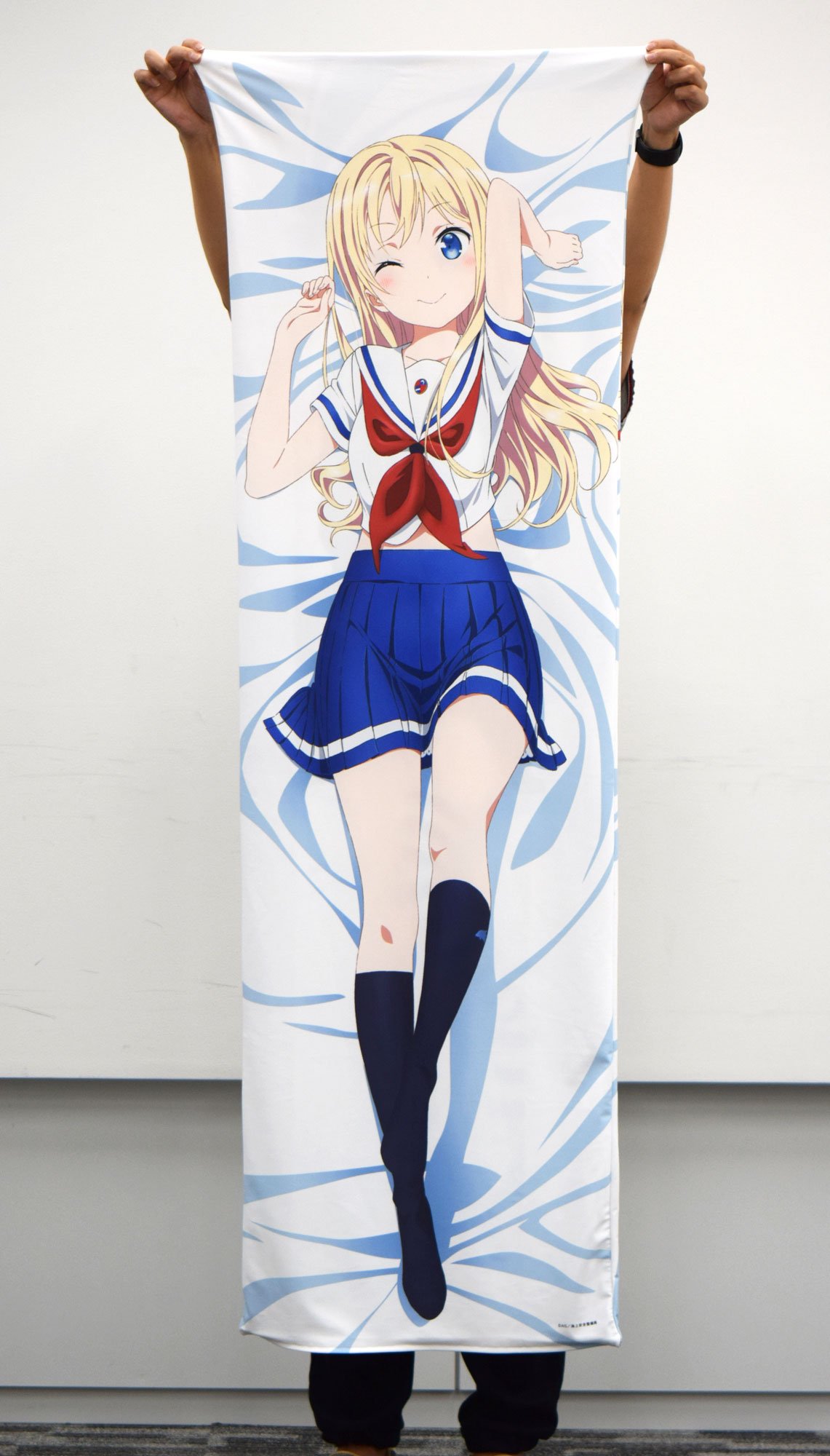 新品未開封 ヴィルヘルミーナ 抱き枕カバー はいふり ハイスクール