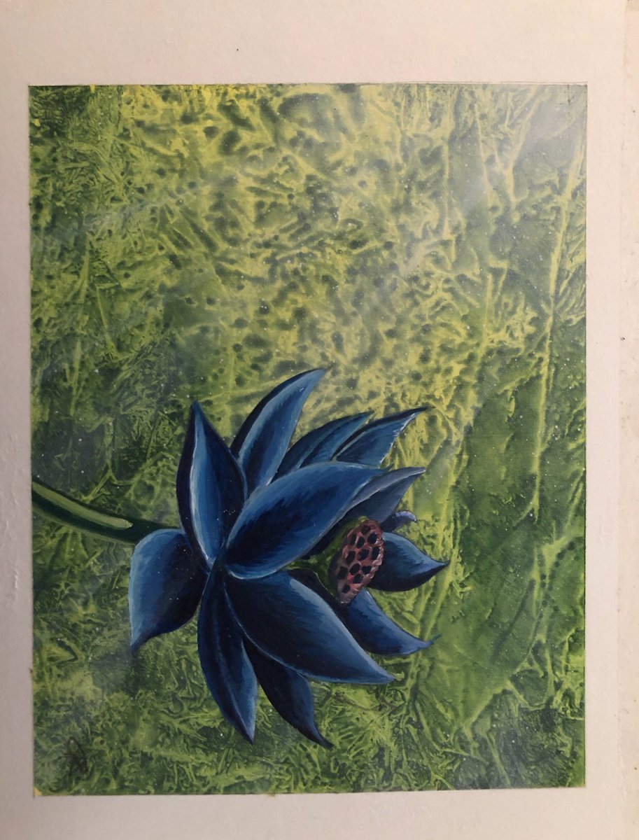 今朝目が覚めたらなんと、Black LotusやいくつかのMoxのオリジナル原画