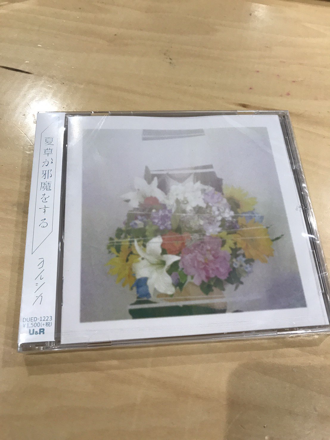 ヨルシカ夏草が邪魔をするラバーバンドラババン初期