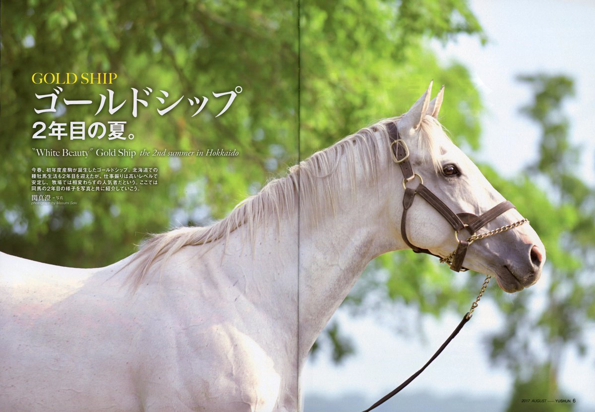 優駿特別編集・永久保存版】ゴールドシップ 写真集＆DVD 黄金の帆を