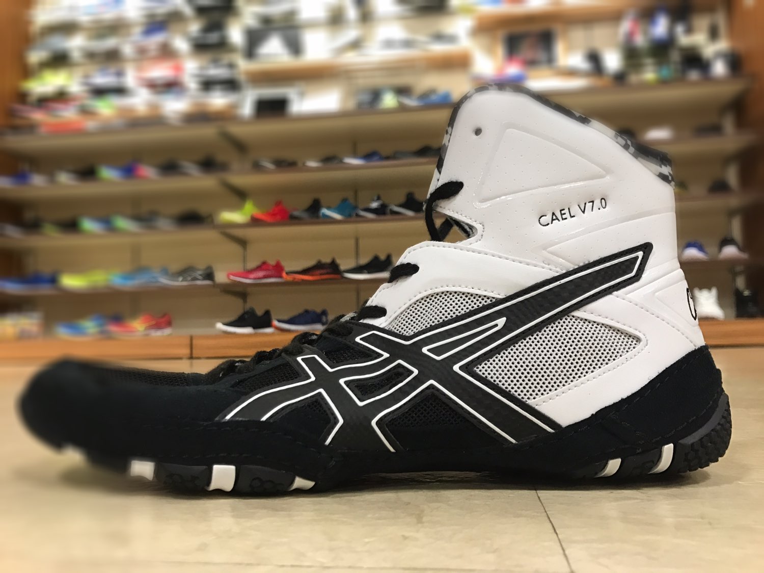 CAEL V7.0 レスリングシューズ。ボクシングシューズ グレー/ブルー