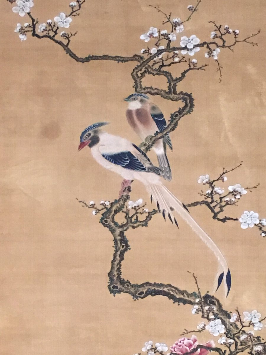 先ほどの諸葛監《白梅ニ鳥図》の、上部です。ぜひ会場で全図をご覧