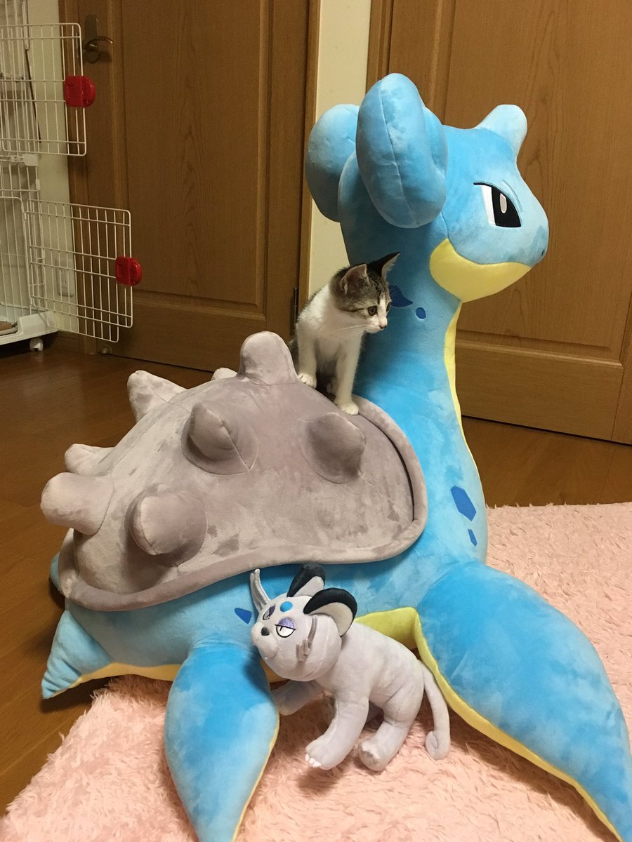 未使用に近いポケモン絶対にのりたいラプラスぬいぐるみクッション 未