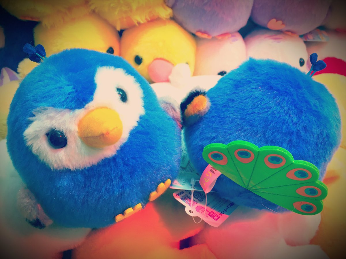 ことり隊最新作✨✨✨ 【ことり隊 ビューティフル スタンダート