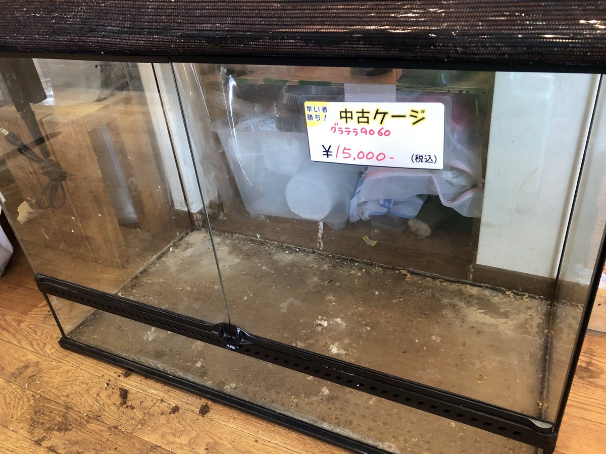 そら 爬虫類ケージ9060 グラステラリウム9060 PT2614 | ジェックス株式会社