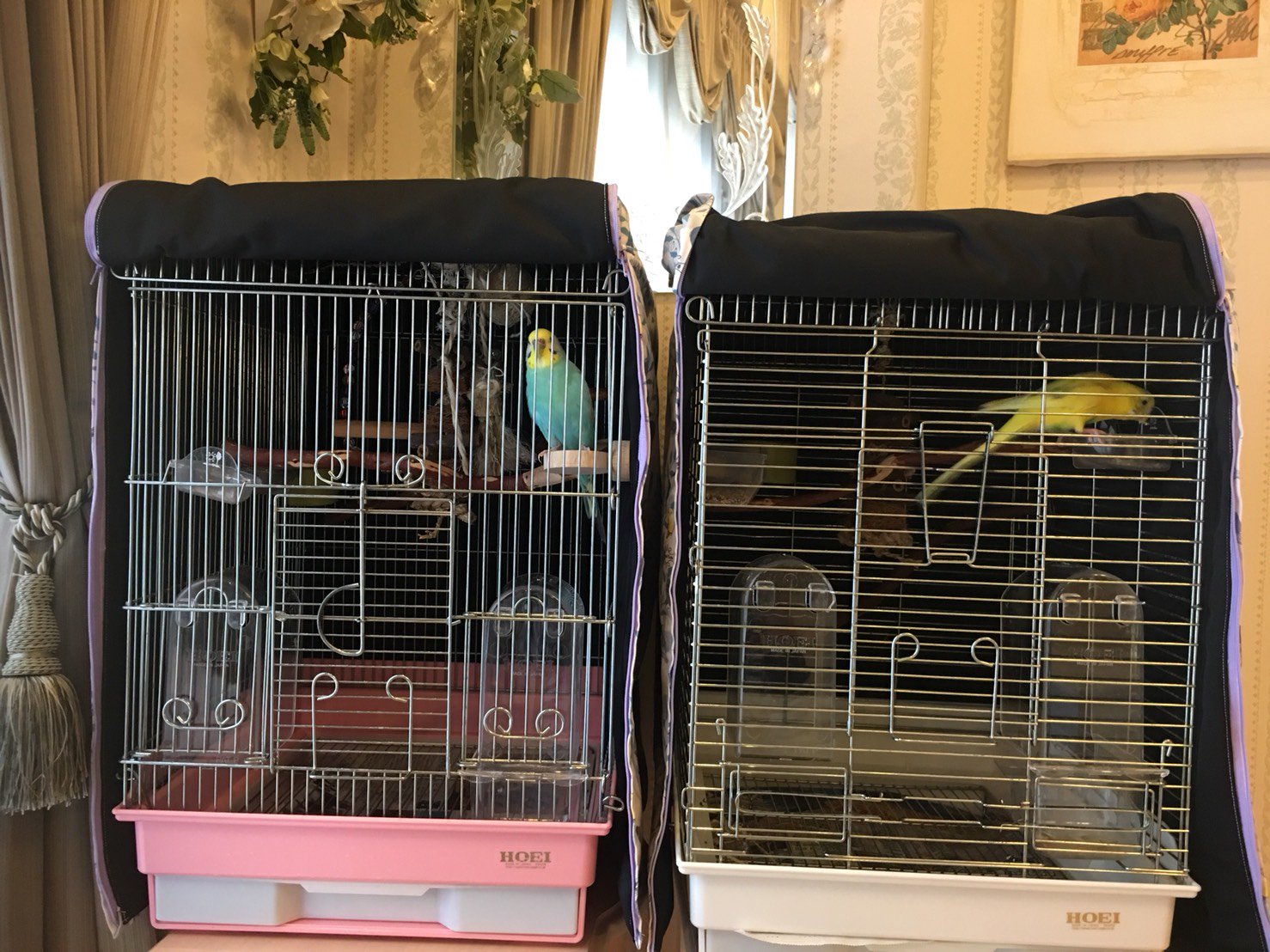 HOEI ホーエイ HOEI35ホライズン 中型鳥かゴ ホライズン 横網 HOEI 35