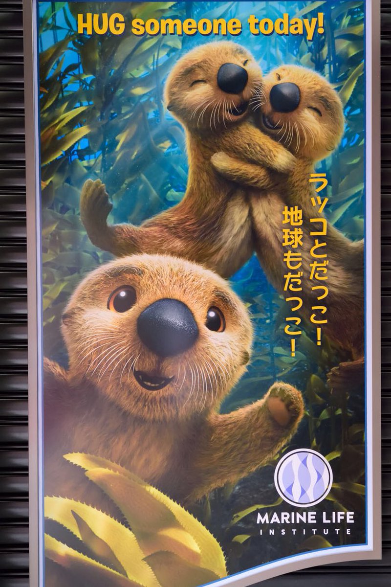 みか様♡確認page☆ジェラトーニシーライダーラッコ per play