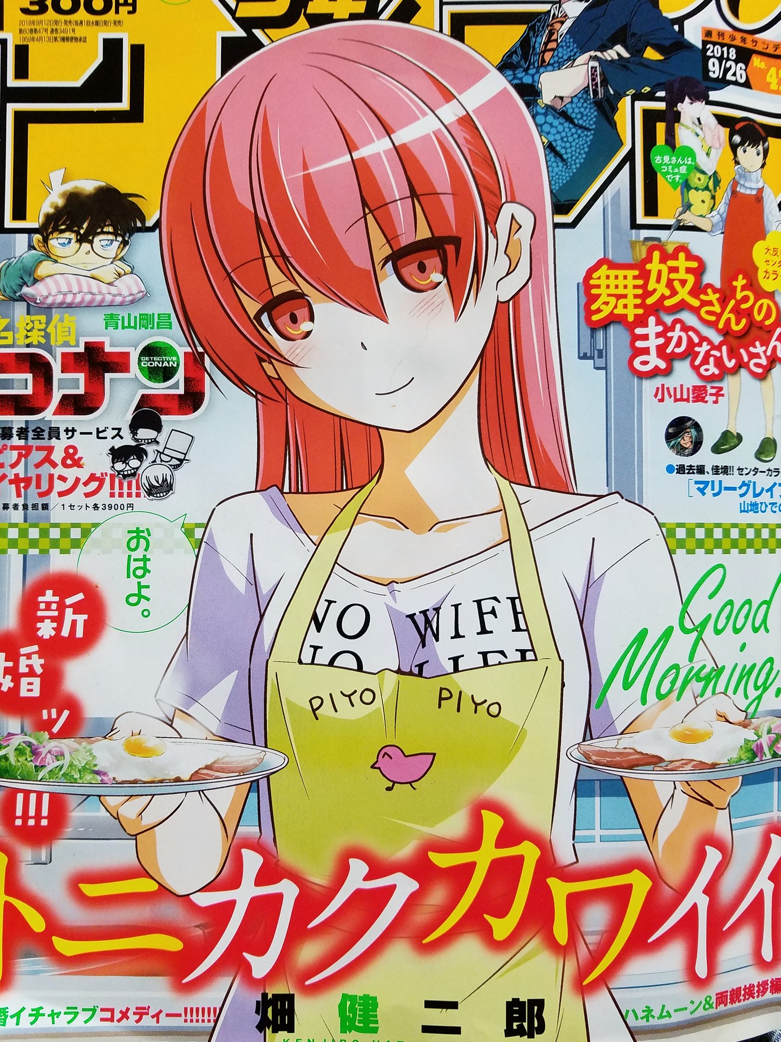 めぞん一刻 音無 響子 PIYO PIYOエプロン(レア物)