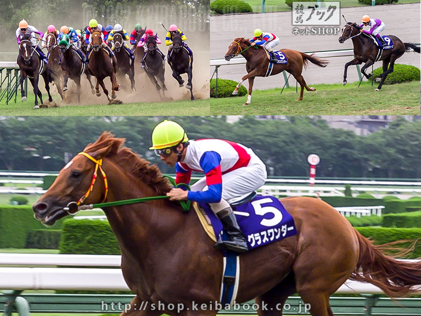 懐かしの宝塚記念】～1999年～ スペシャルウィークとグラスワンダー