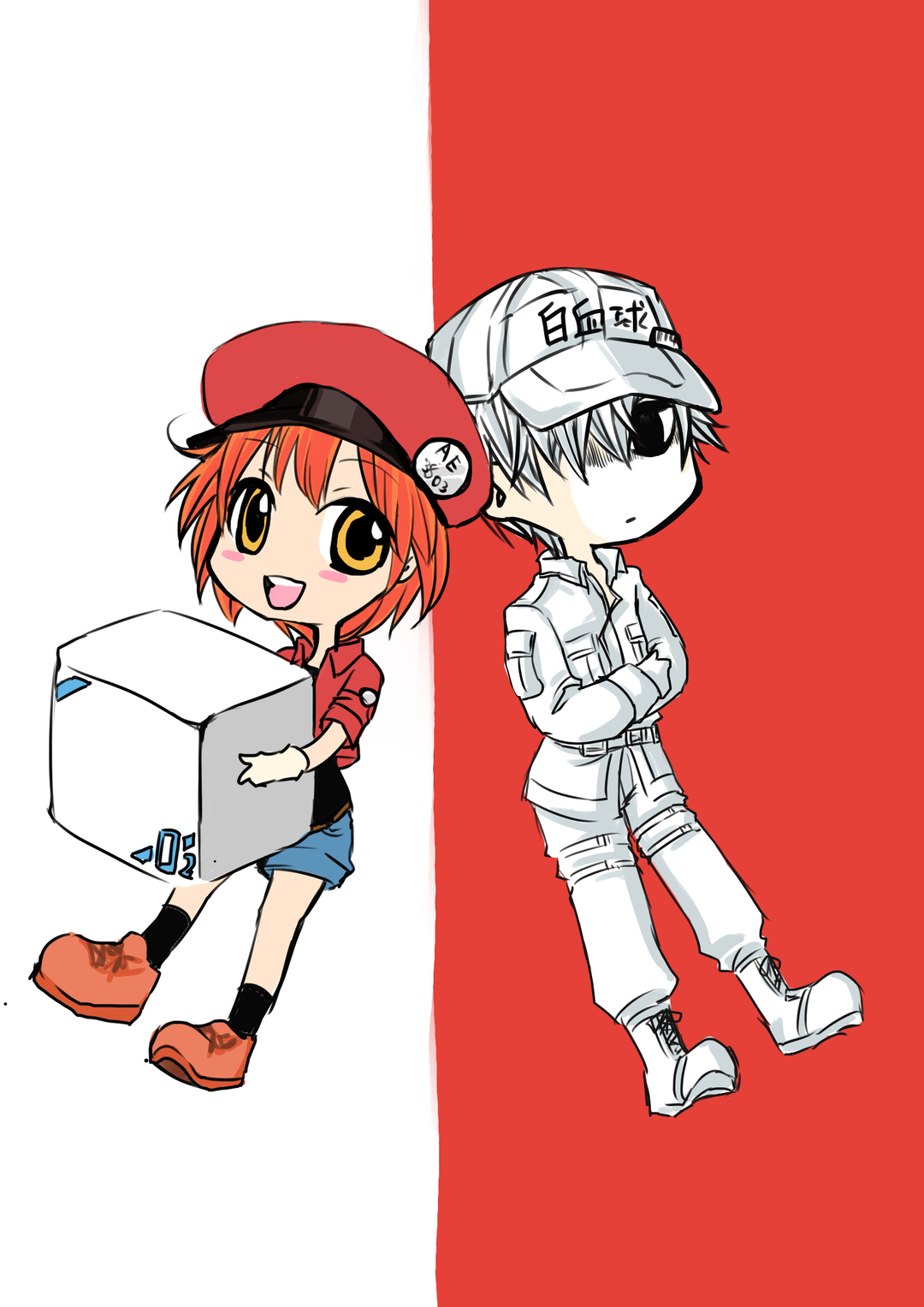 はたらく細胞 赤血球血小板 描き下ろしイラスト色紙 はたらく細胞