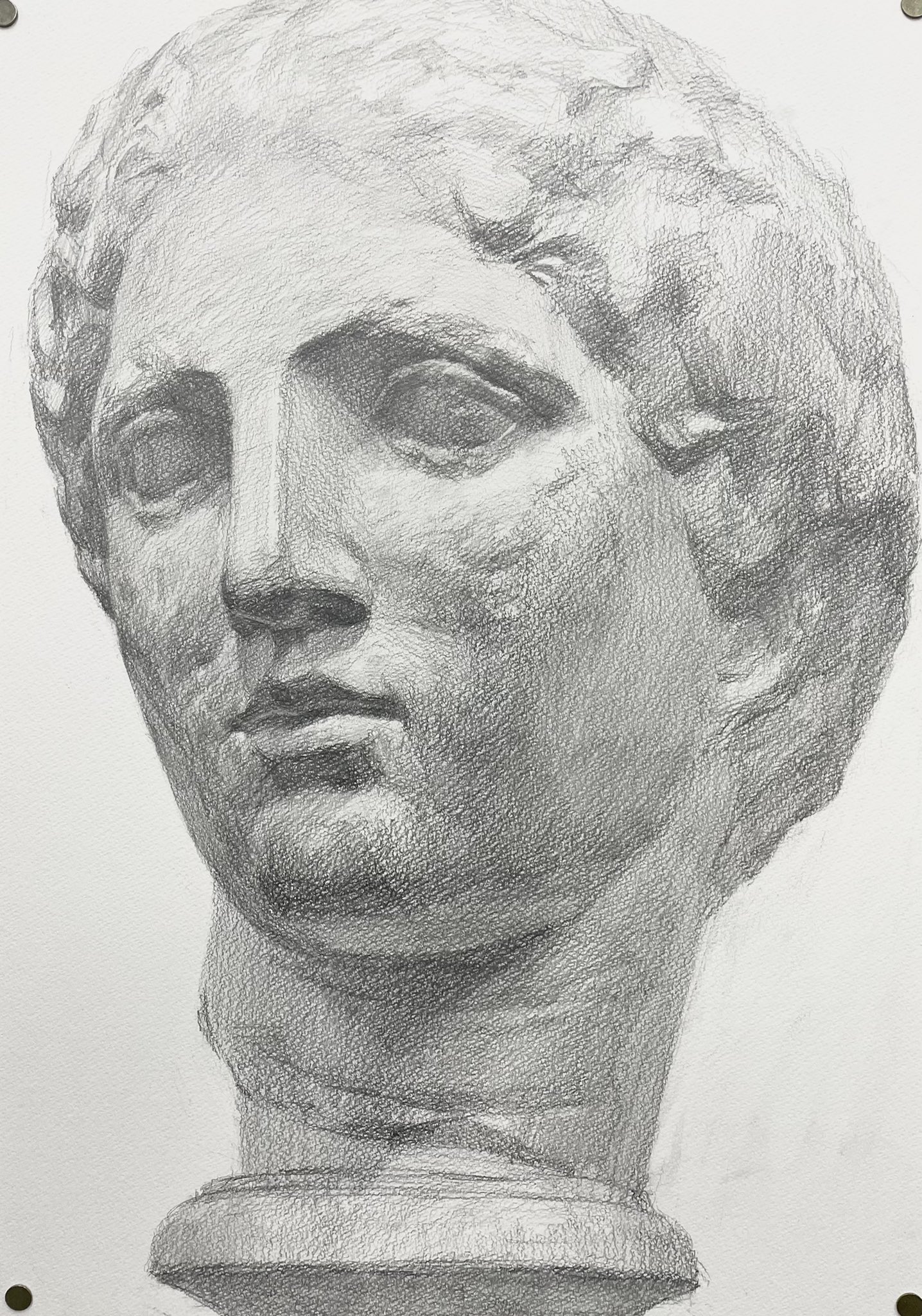 石膏像 パルテノン ラボルト デッサン 首像 インテリア オブジェ 石膏