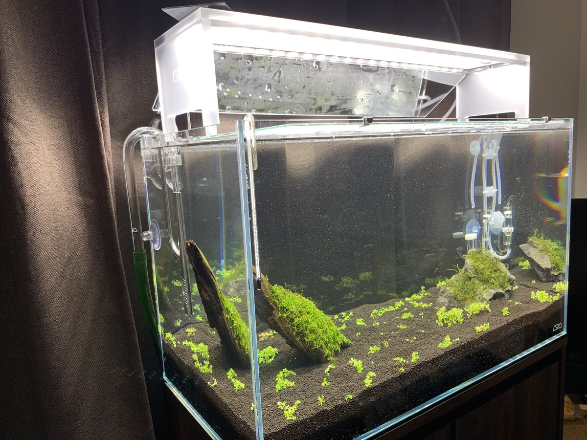 ADA AQUASKY G 602 アクアスカイG 602 AQUASKY G 水槽用ライト 60cm