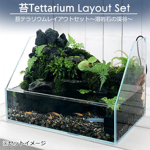 アクアテラリウム 溶岩石 No.7 アクアテラリウム 溶岩石 No.7 写真で