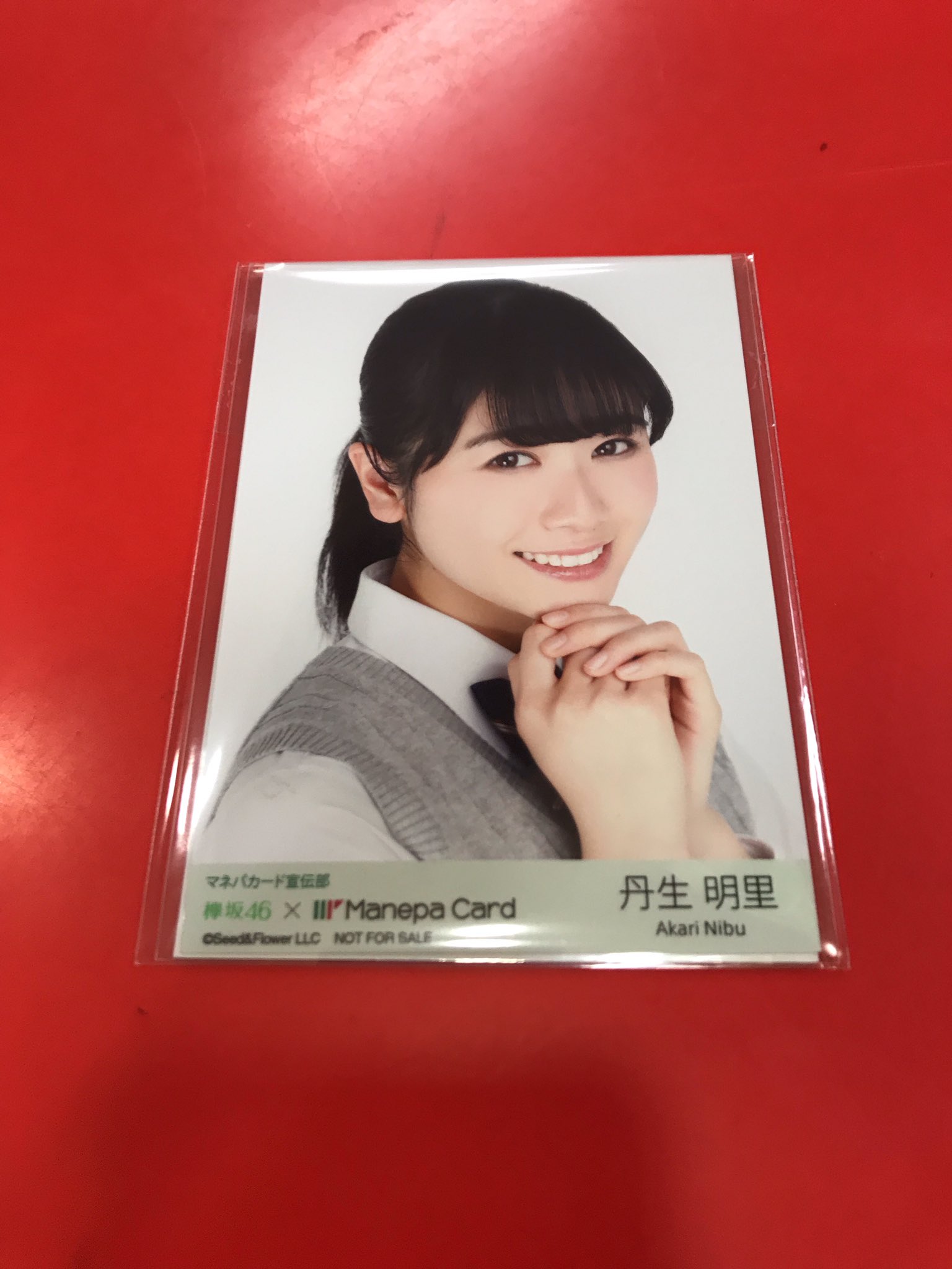 日向坂46 けやき坂46 金村美玖 特典 マネパカード限定 生写真 日向坂46