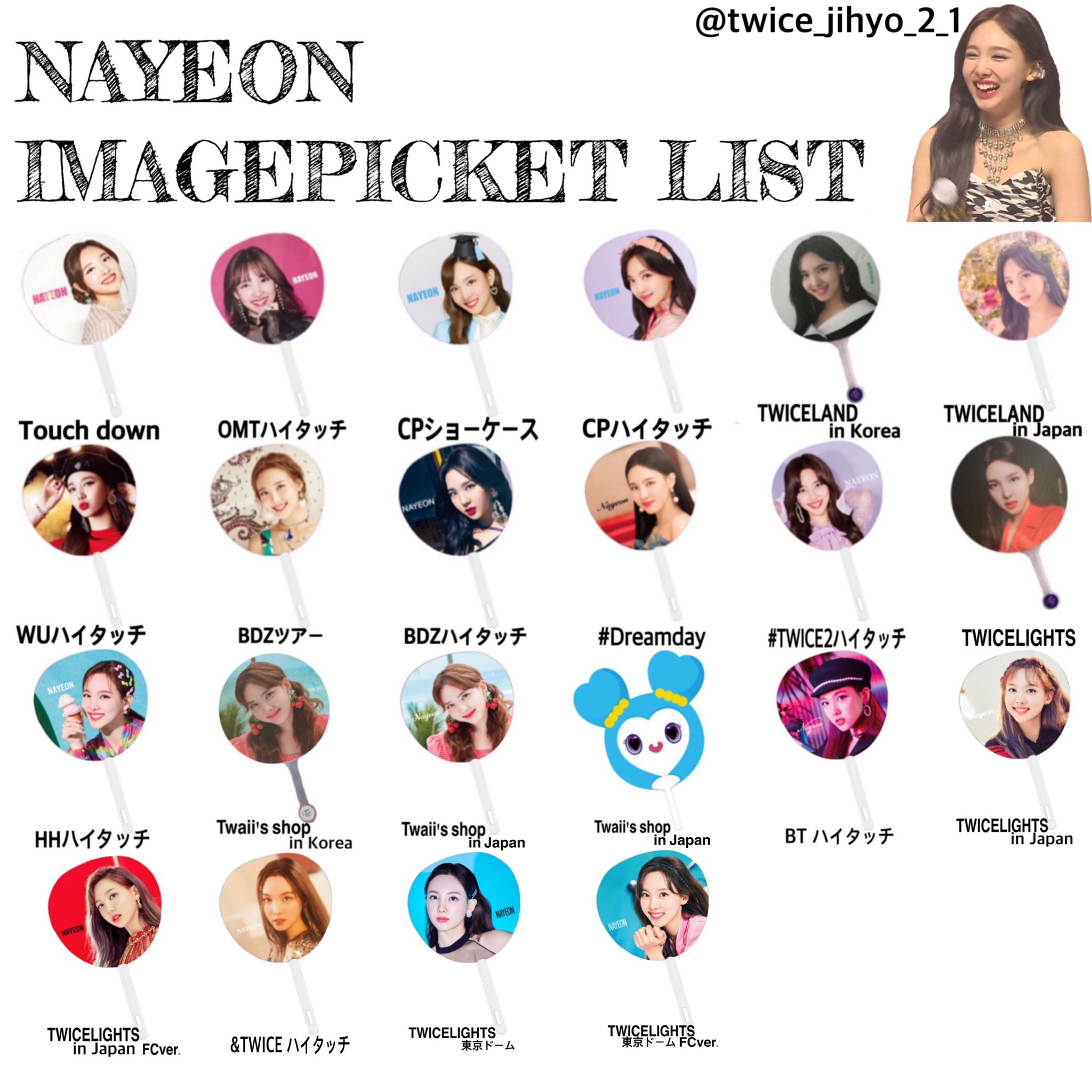 公式販売終了】TWICE うちわ セット 12点 ミナ チェヨン まとめ売り