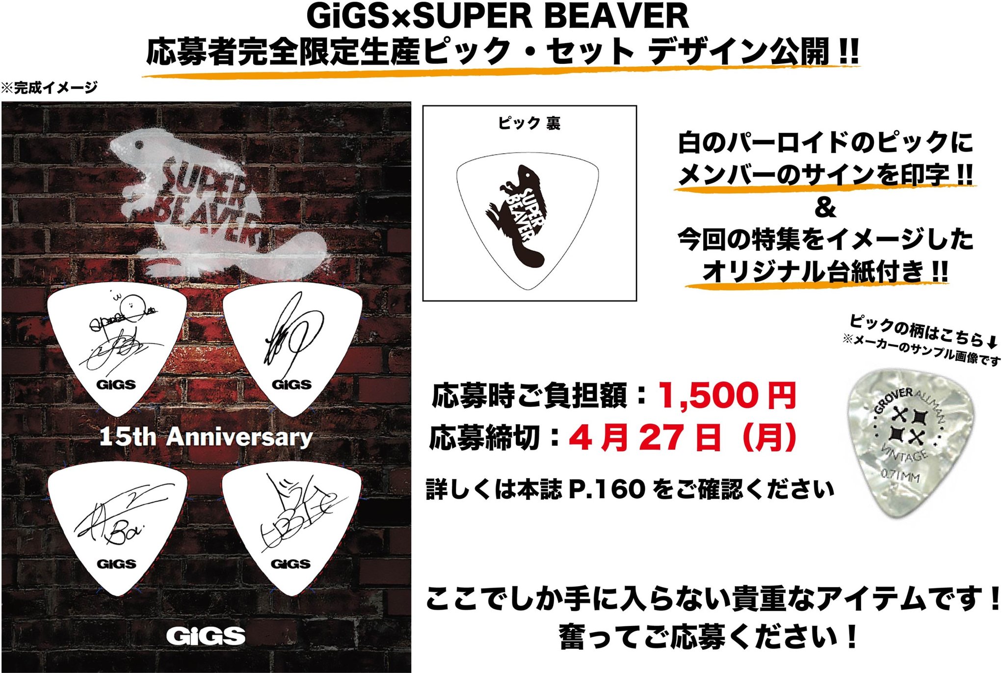 SUPER BEAVER 柳沢亮太本人仕様ピック SUPERBEAVER 柳沢亮太 本人使用