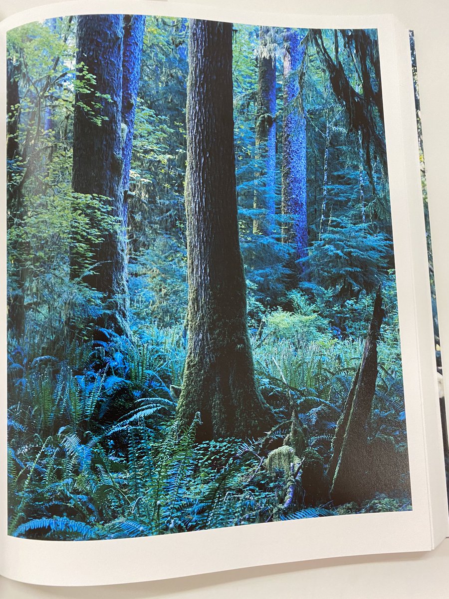 INTRIGUE 上田義彦 写真集 1989年 限定1000部 INTRIGUE 上田義彦 写真