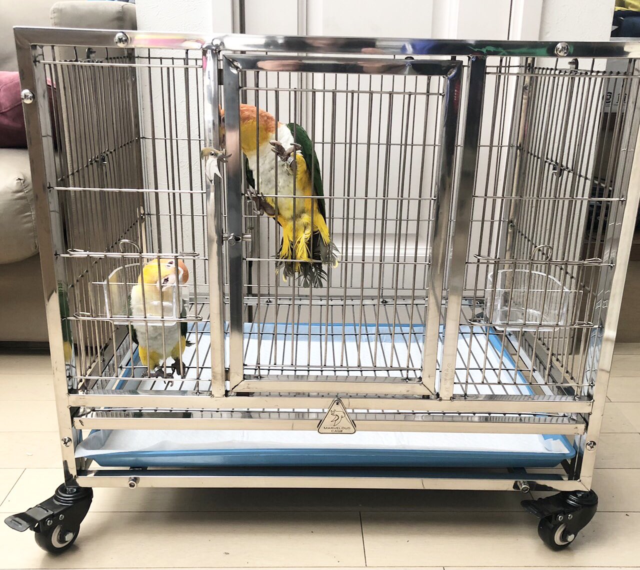 オリジナル ステンレスケージ大(細) Y212 | こんぱまるオンライン