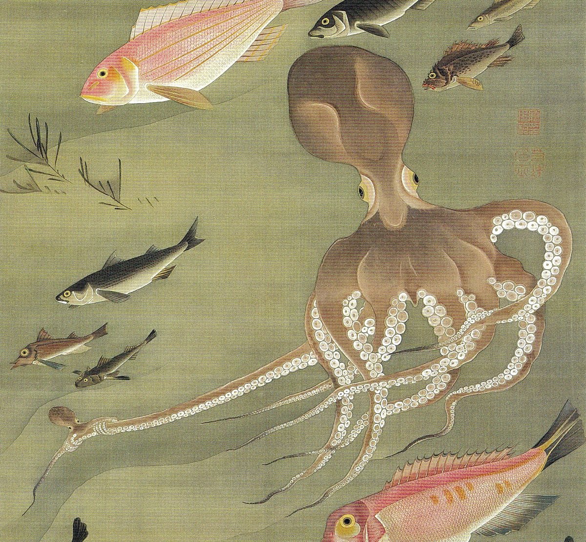 油絵 たこ 美大生が描いた『タコ』を5万人が絶賛 「本物に