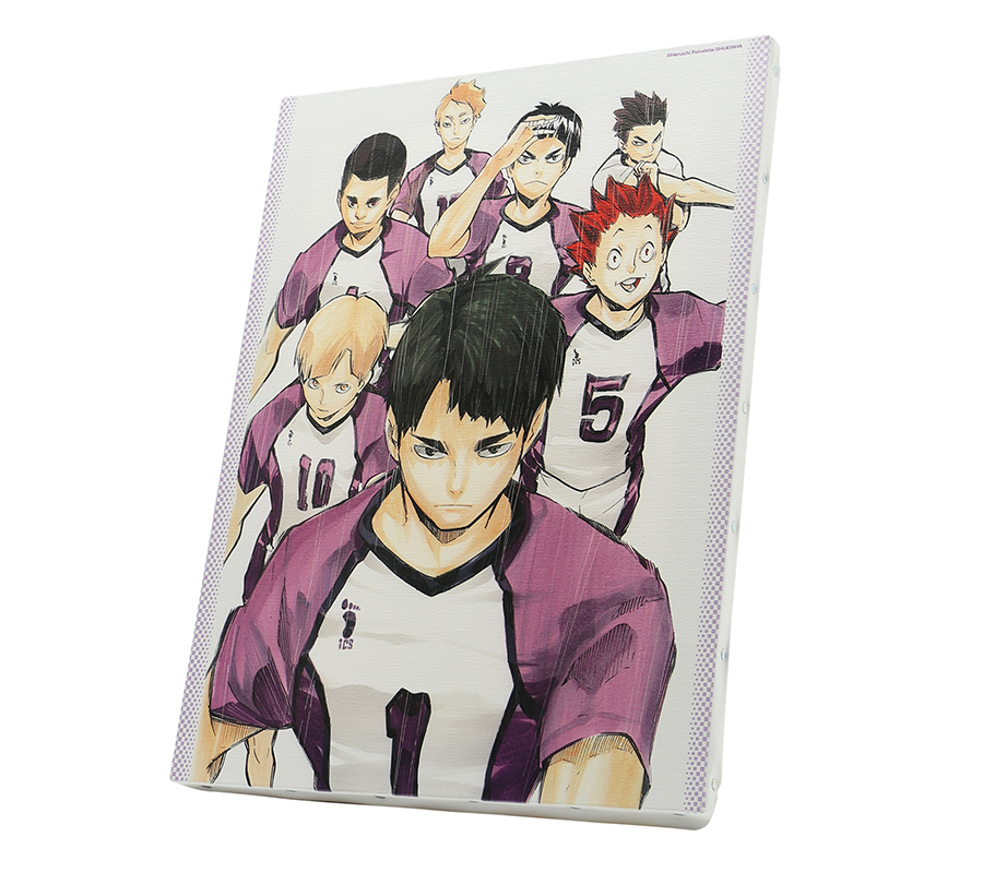 ⚡️本日締切‼️⚡️ 完全受注生産 『#ハイキュー』 フルカラーBIG