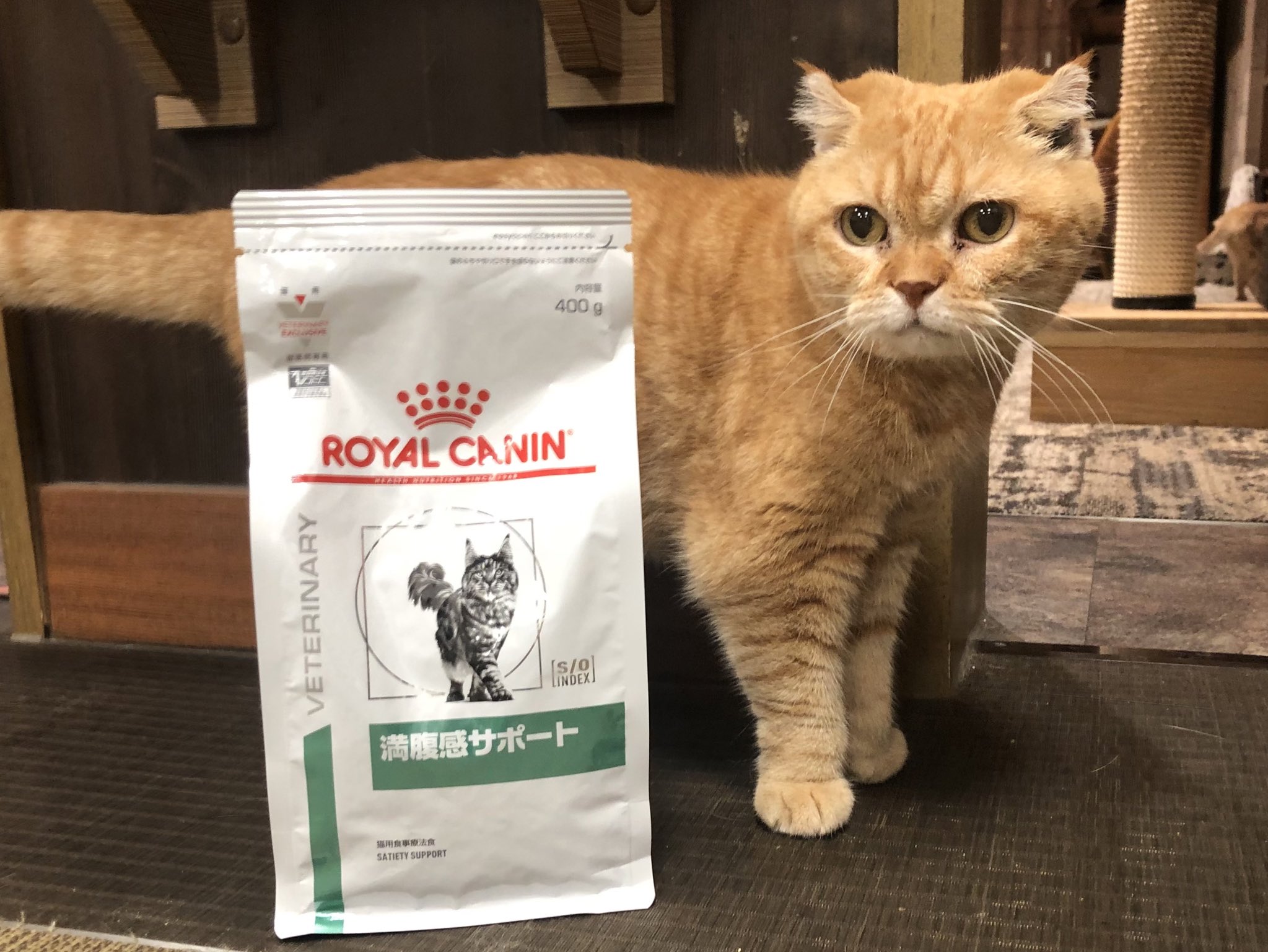 ロイヤルカナン ユリナリーS/O 4kg キャットフード 療法食 猫 ロイヤル