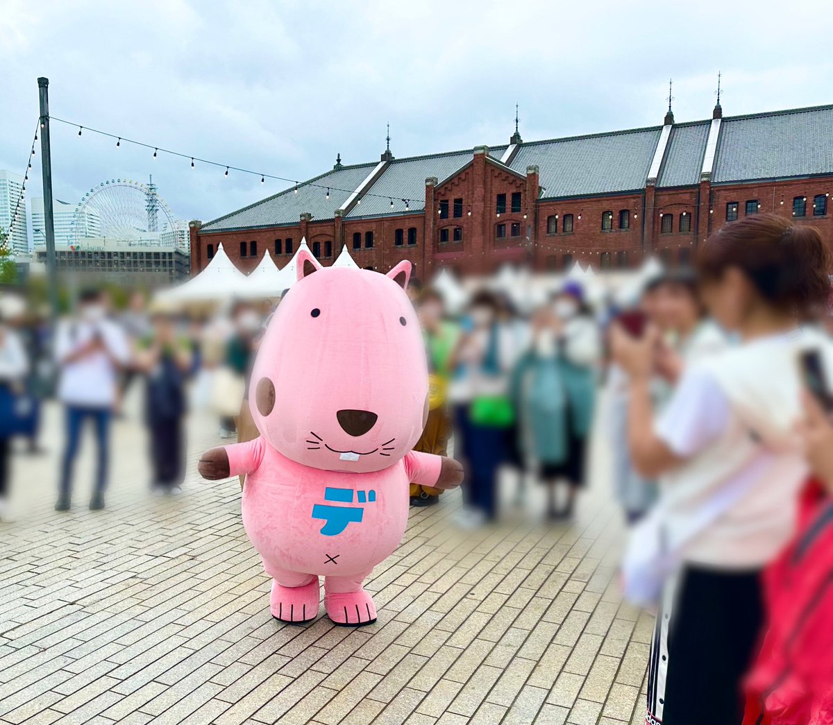 F6yDLhKbwAA9-52.jpg?format=jpg