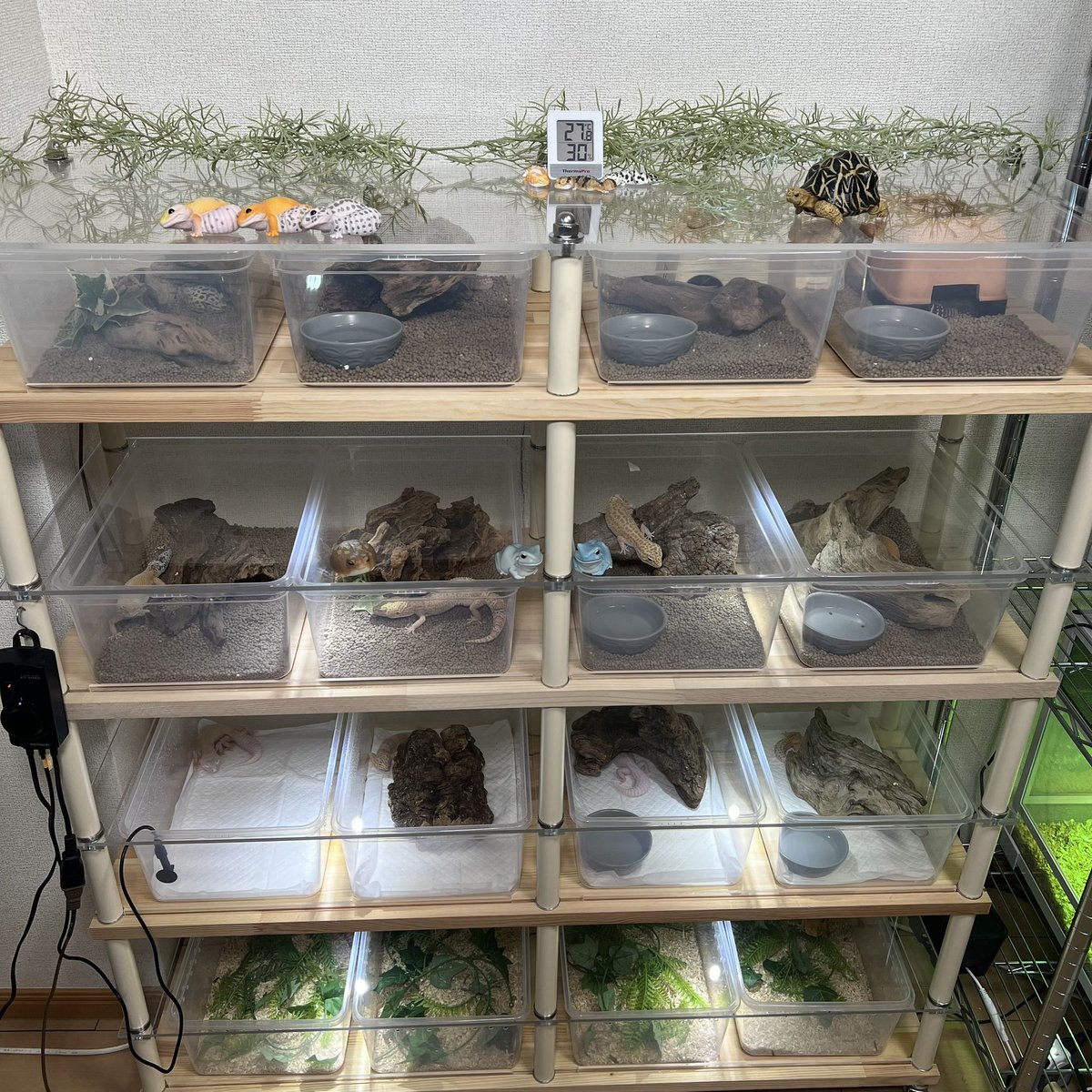 スネークラック ブリーダーラック 爬虫類ラック スネークラック