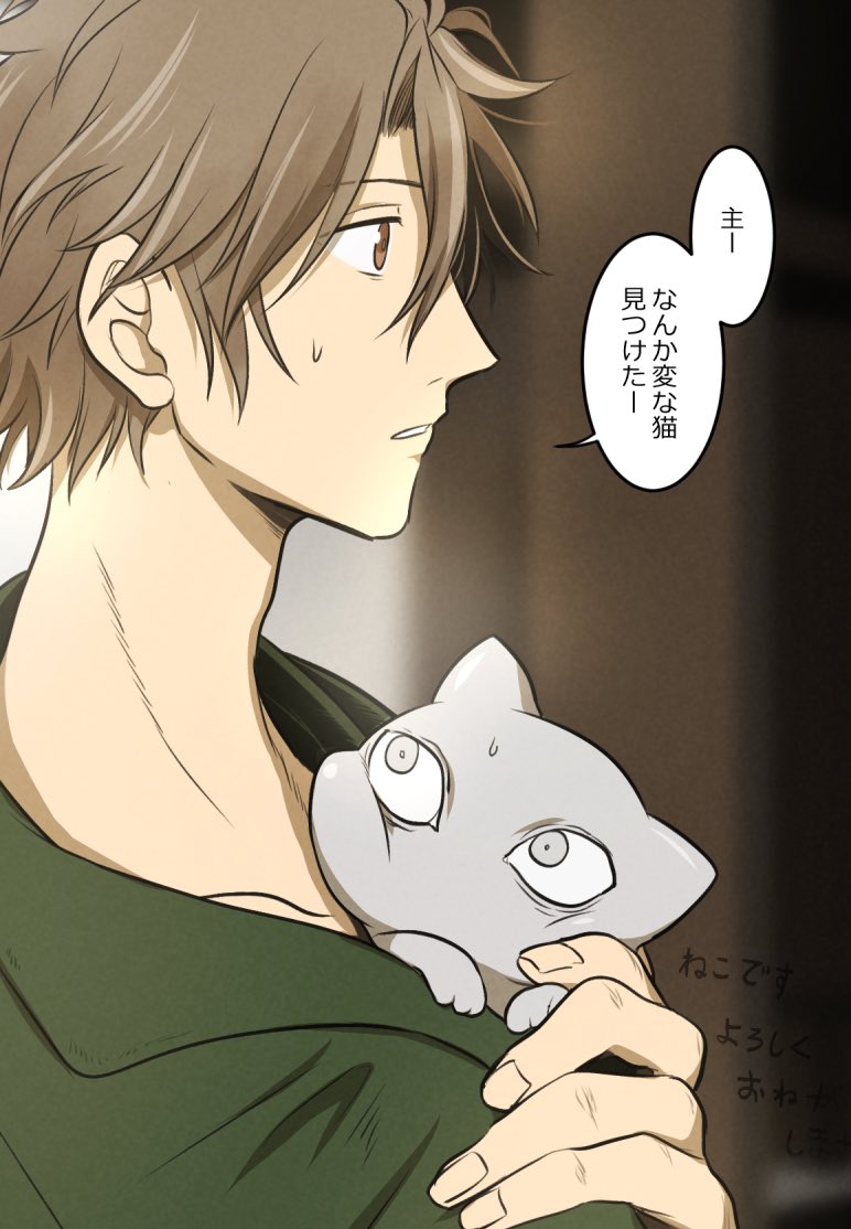 ちゃぴねこです、よろしくお願いします ねこ