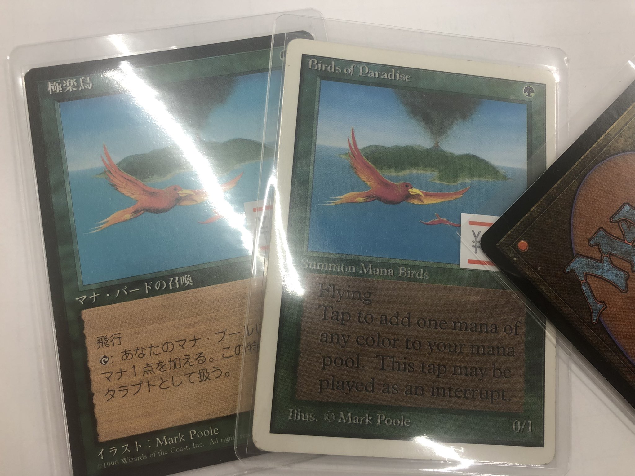 MTG 極楽鳥日本語第4版黒枠