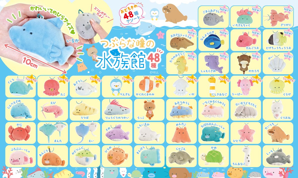 つぶらな瞳の水族館 バラ売り つぶらな瞳の仲間達【公式】 on X