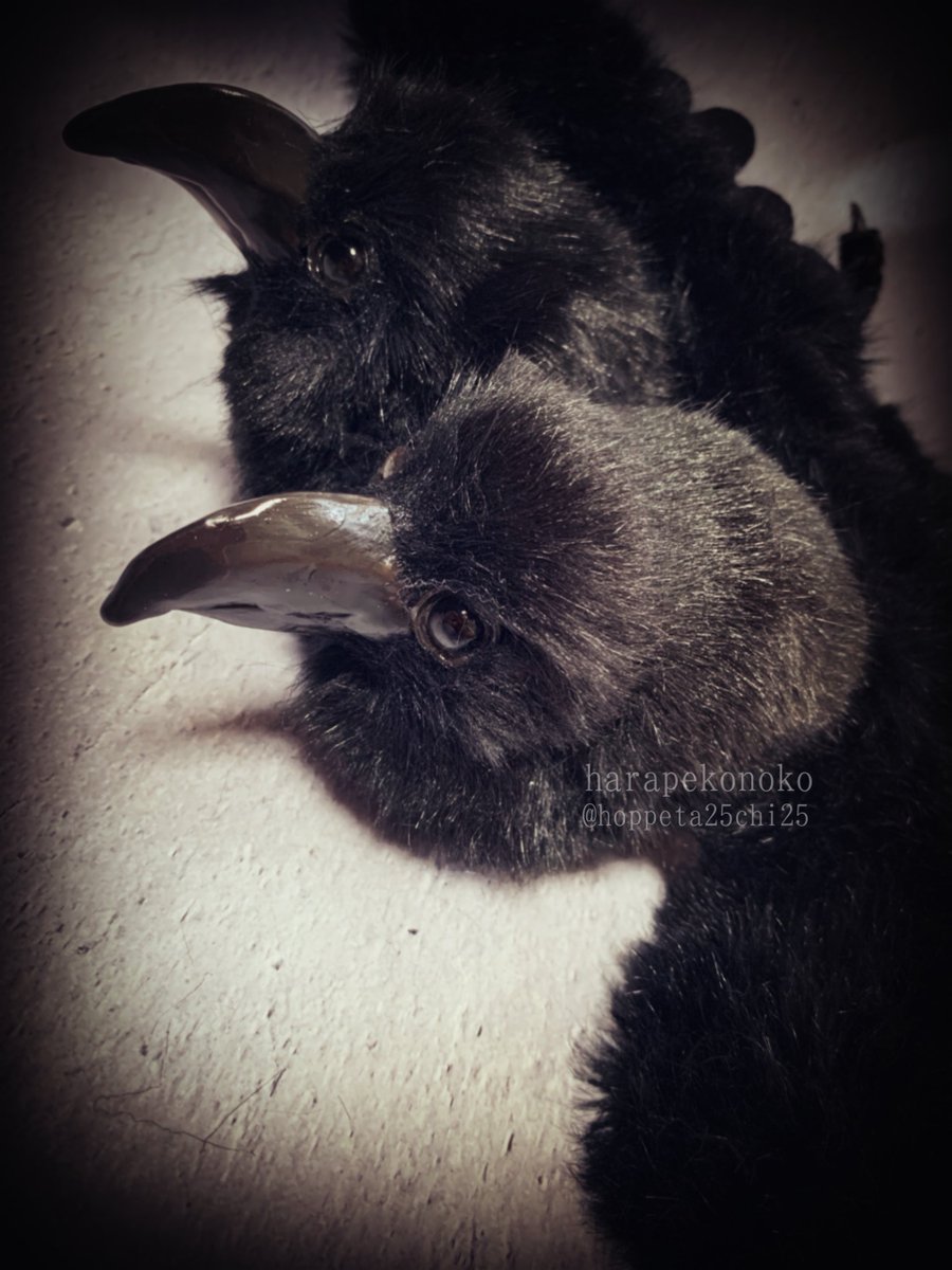 2021年年末に今年まだ出会ってない素敵な作品に出会うタグ 動かせて