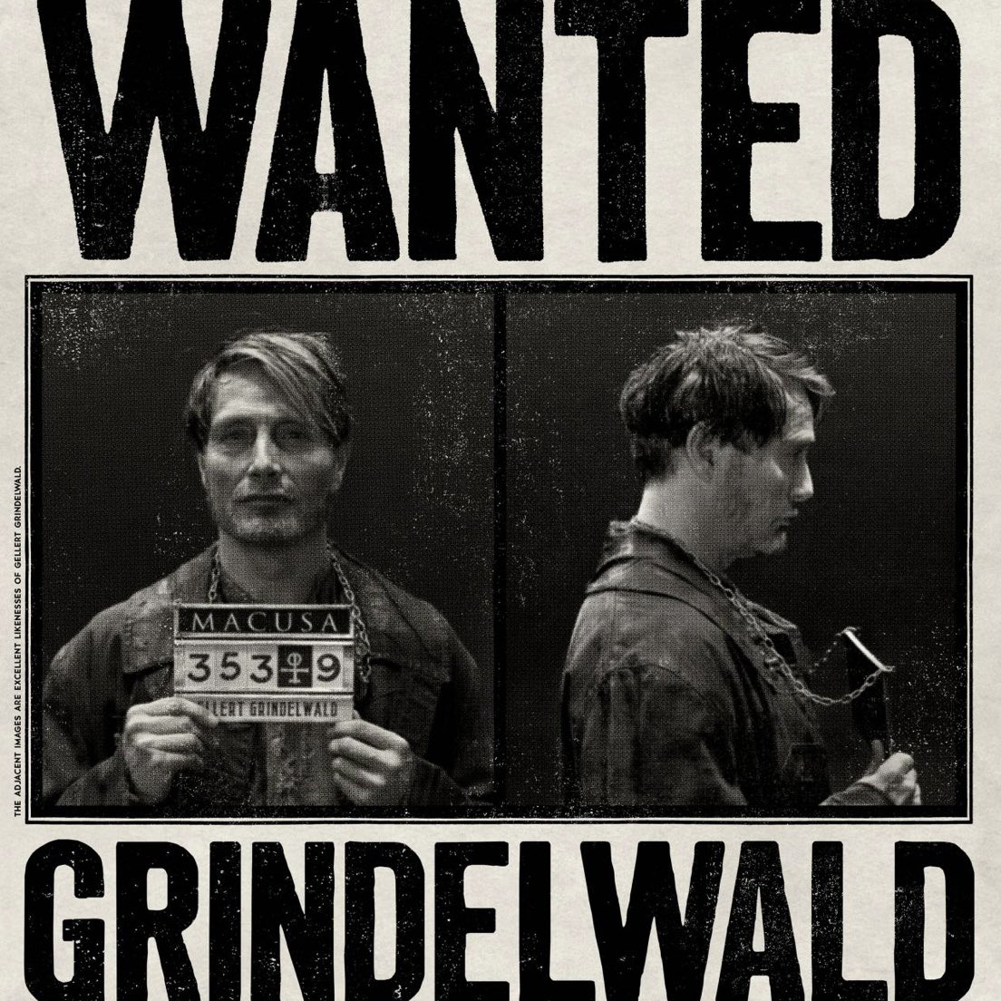 ミナリマ が #ファンタスティックビースト とダンブルドアの秘密のため