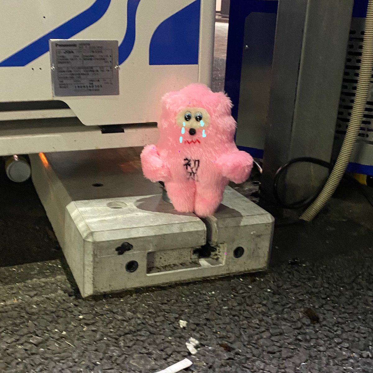 はじめまして、初恋ちゃんです。 泣いてるし連れて帰りましたー！ 今日