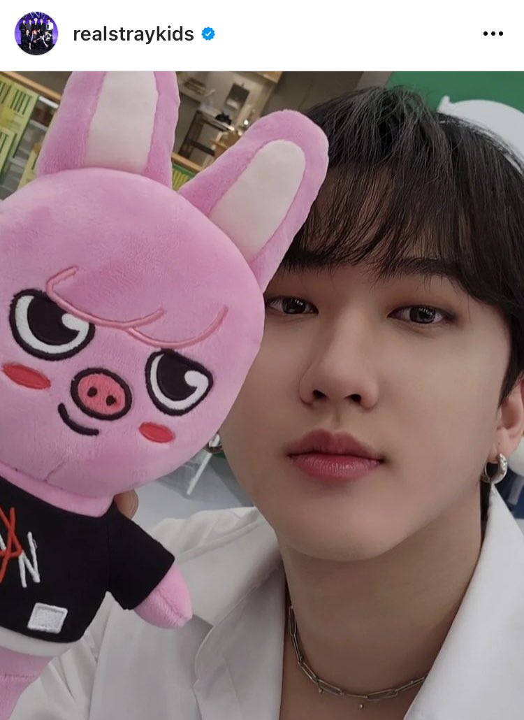 straykids skzoo トゥエッキ チャンビン straykids スキズ 10センチ