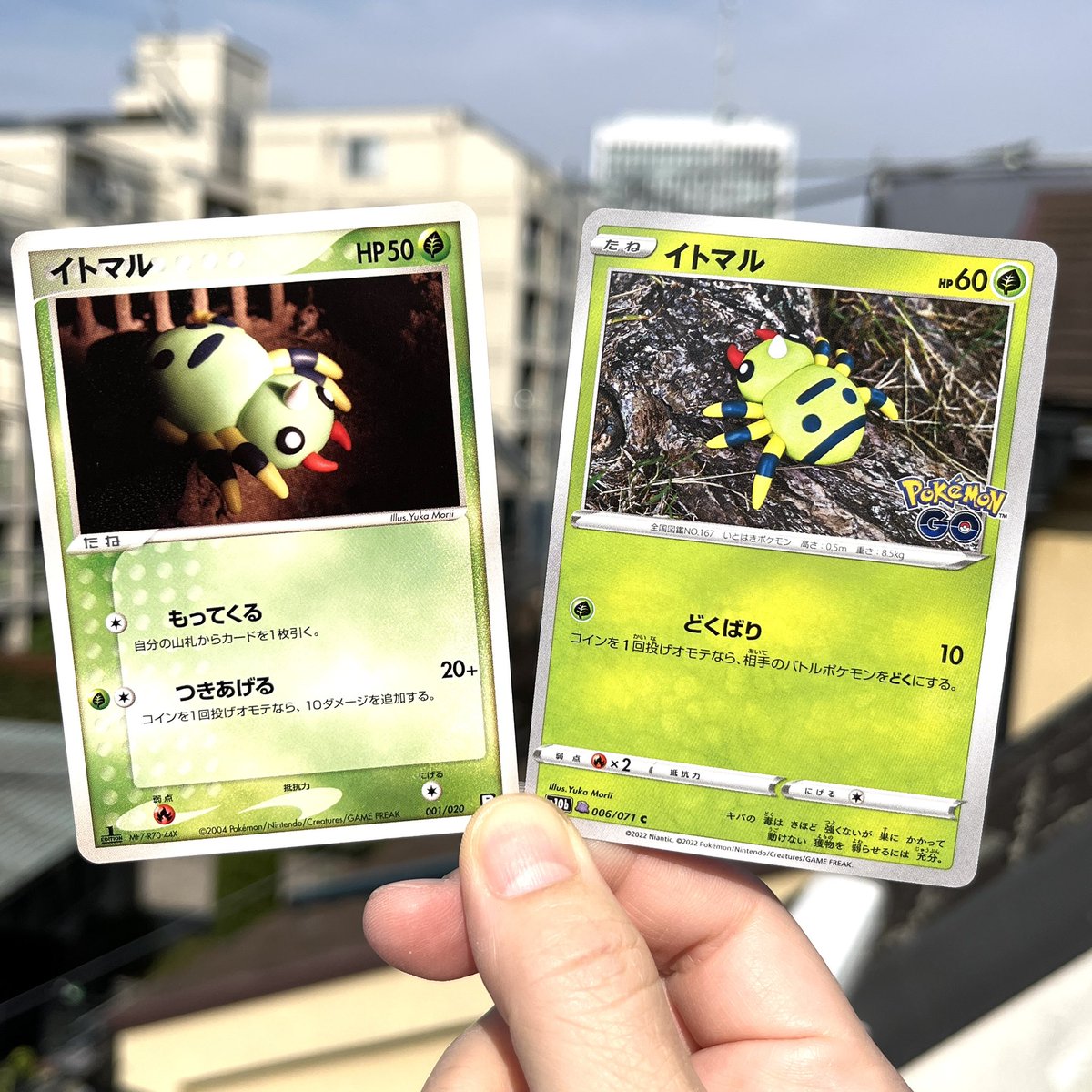 約1200枚】ポケカ モリイユカ 森井由佳 Yuka Morii 128種 Yuka Morii