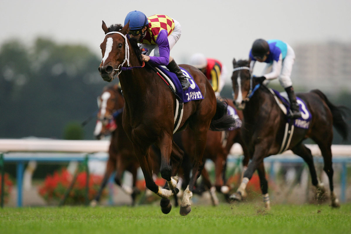 第30回エリザベス女王杯 スイープトウショウ 競馬 アイドルホース ウマ