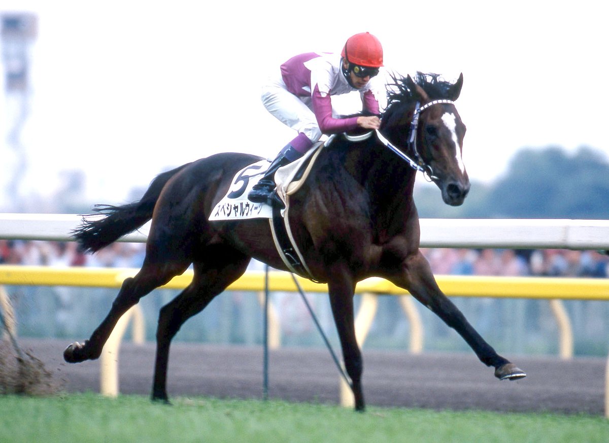 武豊騎手に初めての日本ダービー制覇をもたらした #スペシャルウィーク
