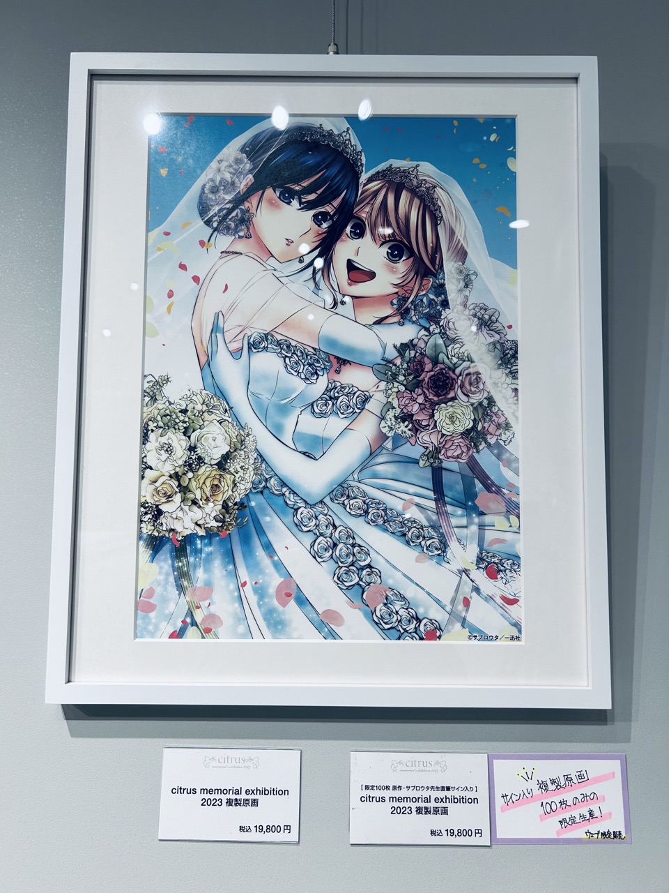 citrus サブロウタ 直筆サイン入り 複製原画 citrus 複製原画