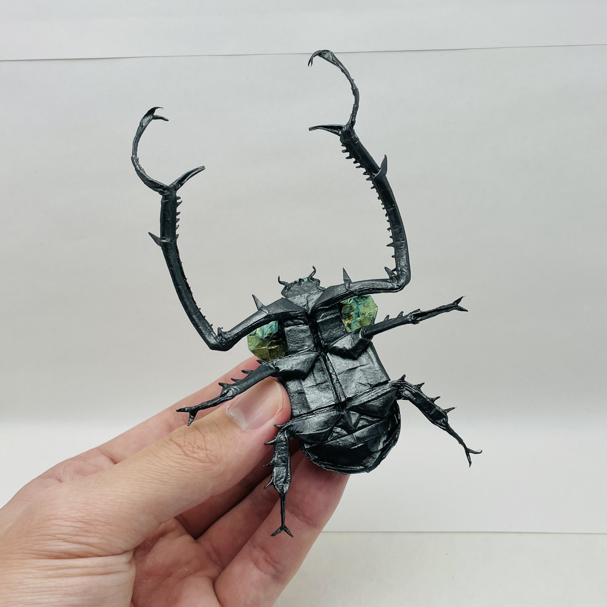 ヤンソニーテナガコガネ 68mm ヤンソニーテナガコガネ（中国産