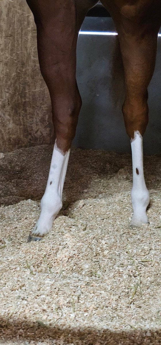 なっちゃんページ なっちゃん🗽🇨🇭🍍 on X