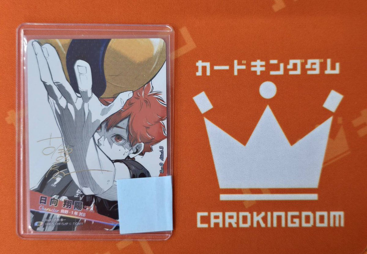 日向翔陽 極 バボカ シリアルナンバー付き ハイキュー!! バボカ