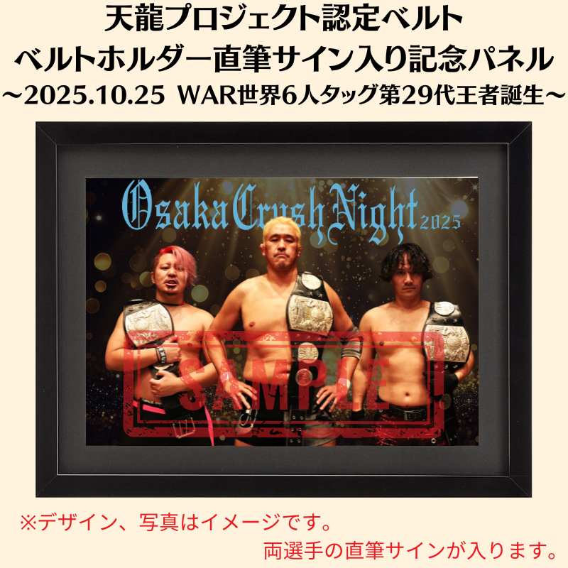 ELLEGARDEN 直筆サイン入りポスター 2025年最新】ellegarden ポスター