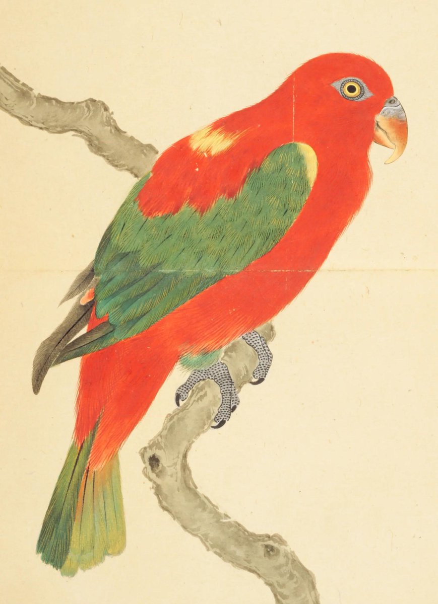 油絵 ロンロンロン ドライブする鳥 油絵 ロンロンロン ドライブする鳥