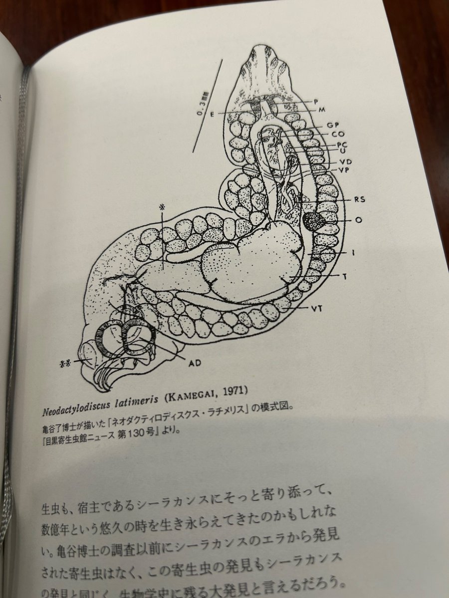 犬と猫の寄生虫図鑑 大パネル 犬と猫の寄生虫図鑑 大パネル - メルカリ