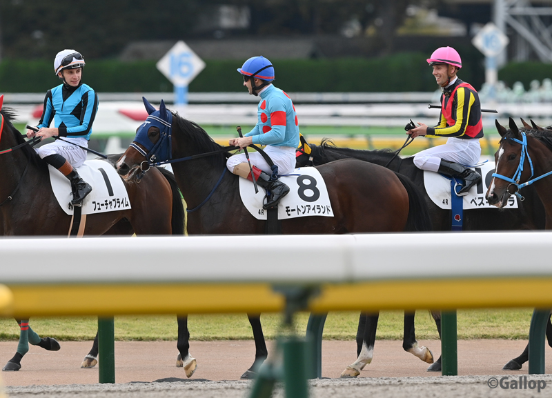 2178❣️ 瑪瑙 馬 唐馬 戦闘馬 2178❣️ 瑪瑙 馬 唐馬 戦闘馬