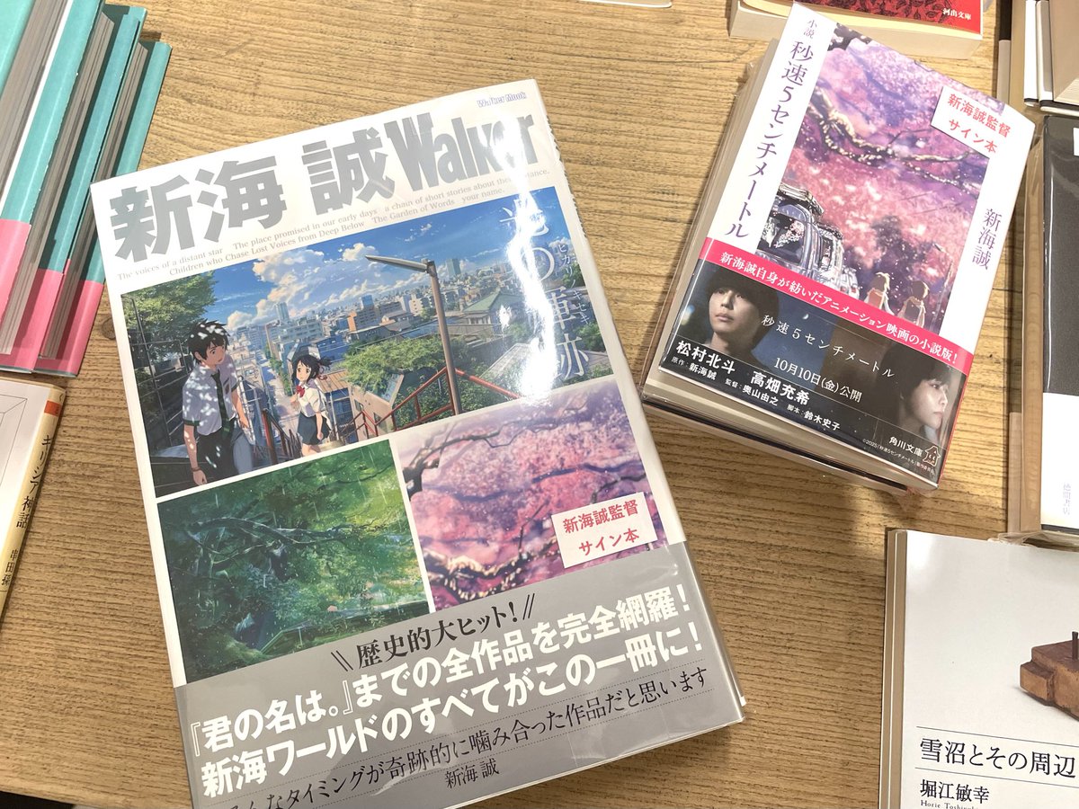 イ*ン様 秒速5センチメートル 新海誠監督 直筆サイン入り 色紙 大色紙
