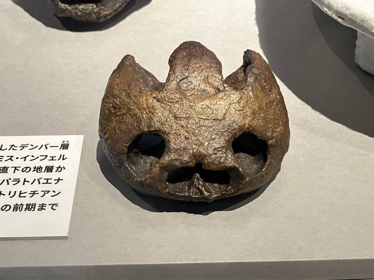 金属マスク アフリカ セヌホ族 呪術 秘境 神像 呪像 金属マスク