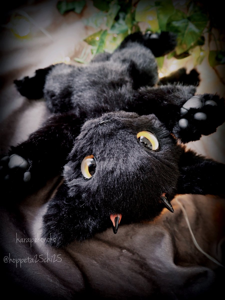 ハラペコ様 ヒヨコ アートドール ハラペコ (@hoppeta25chi25) ⁄ Posts ⁄ X