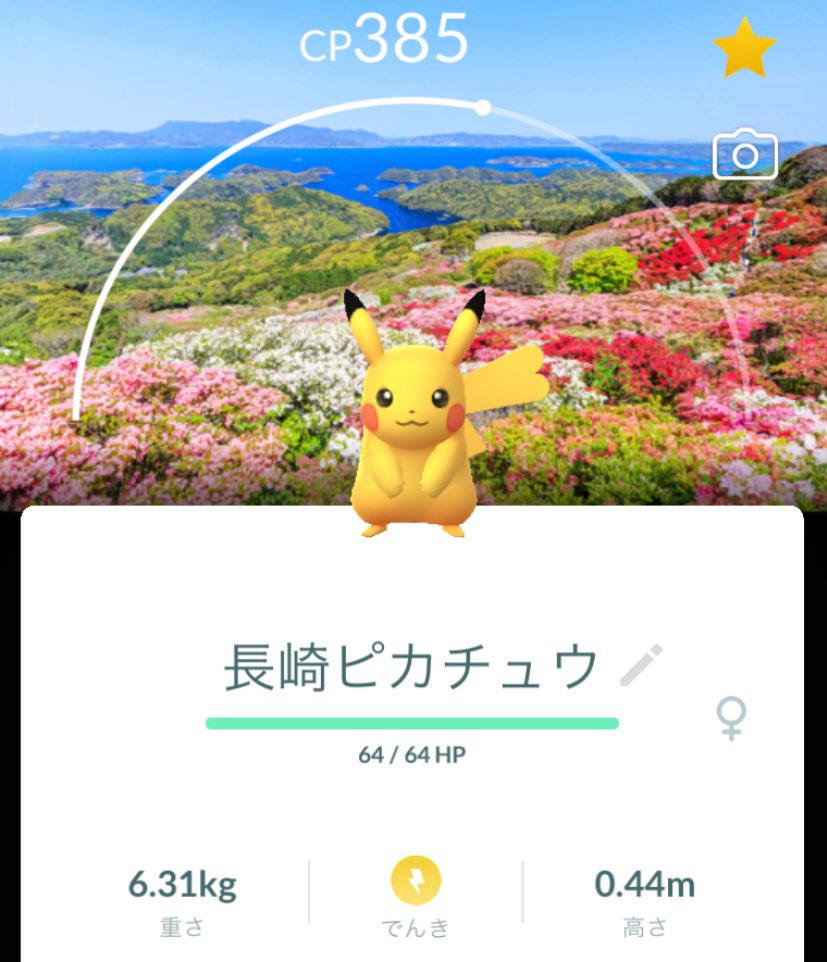 洞爺湖サミットピカチュウ 洞爺湖サミットピカチュウ